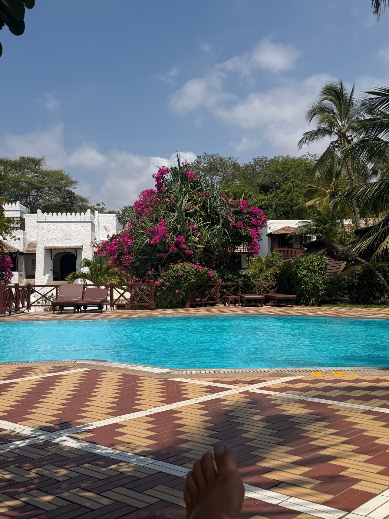 塞丽娜海滩水疗度假村-泳池