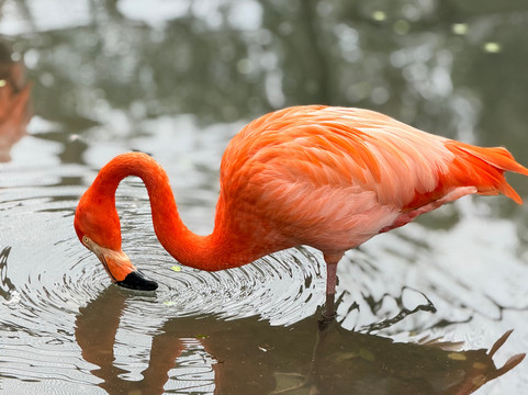 Yumká-Villahermosa必去景点