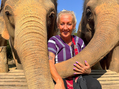 Elephant Freedom Village-清迈必去景点