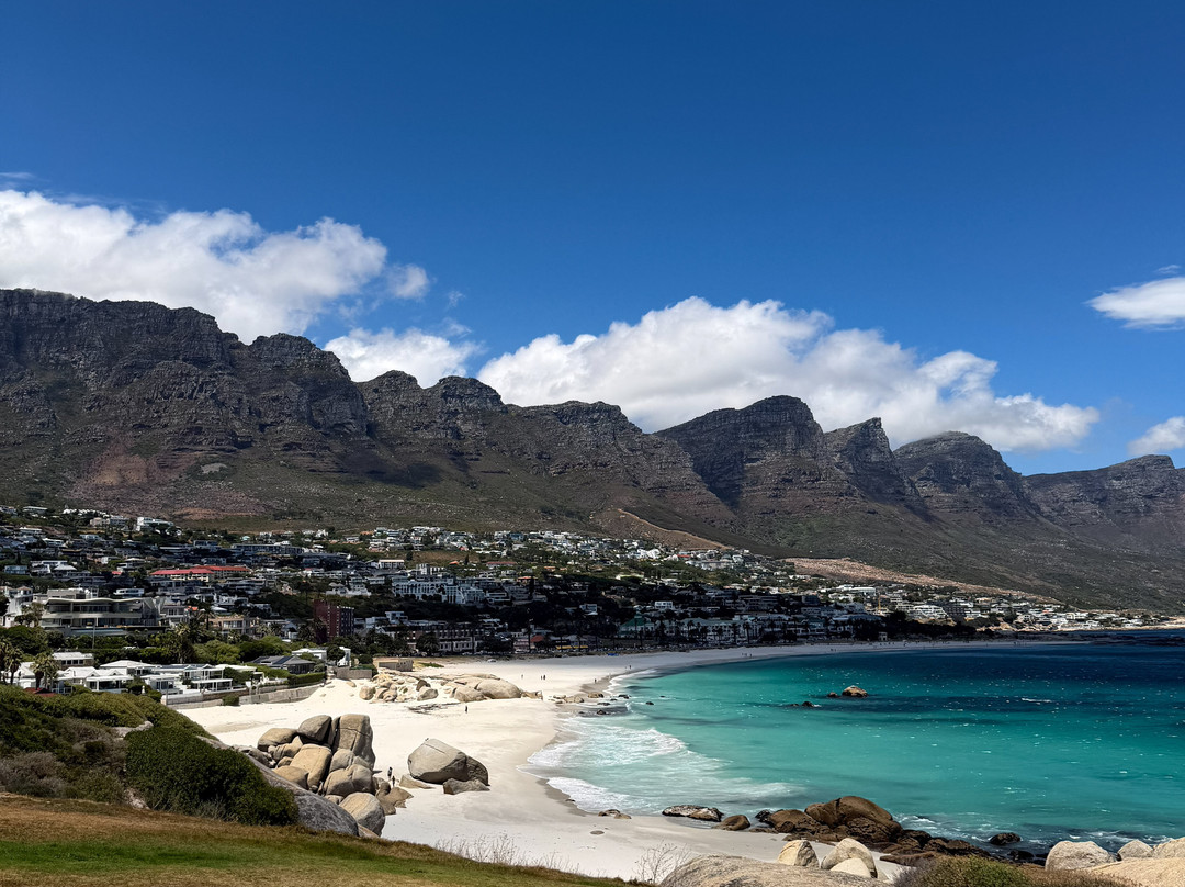 The Cape Town Tour Guide Co.-开普敦中心区必去景点