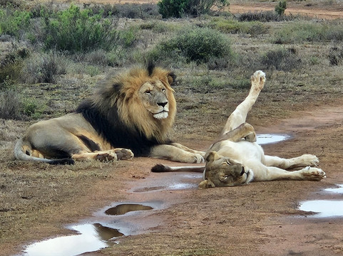 Yengwa Tours & Adventures-克尼斯纳必去景点