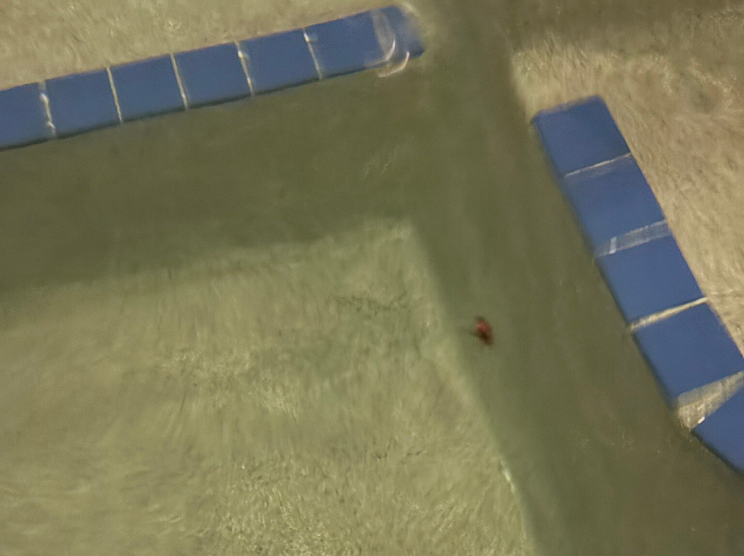 伊根明尼苏达戴斯酒店-近美国购物中心主图