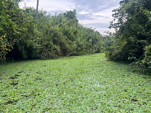 Chinuka Lagoon Safari-美蕊沙必去景点
