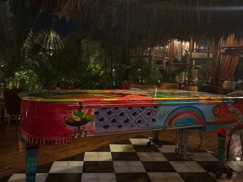 Oliver's Lounge-萨瓦内塔必去景点