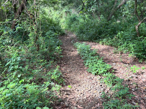 Bias Tugel Beach-曼吉斯必去景点