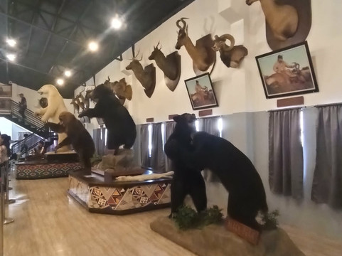 Baluarte Zoo-维甘必去景点