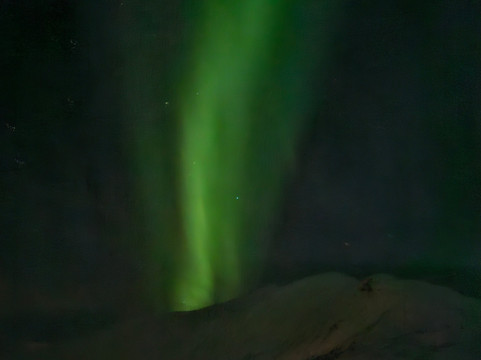 Active Tromsø-特罗姆瑟必去景点