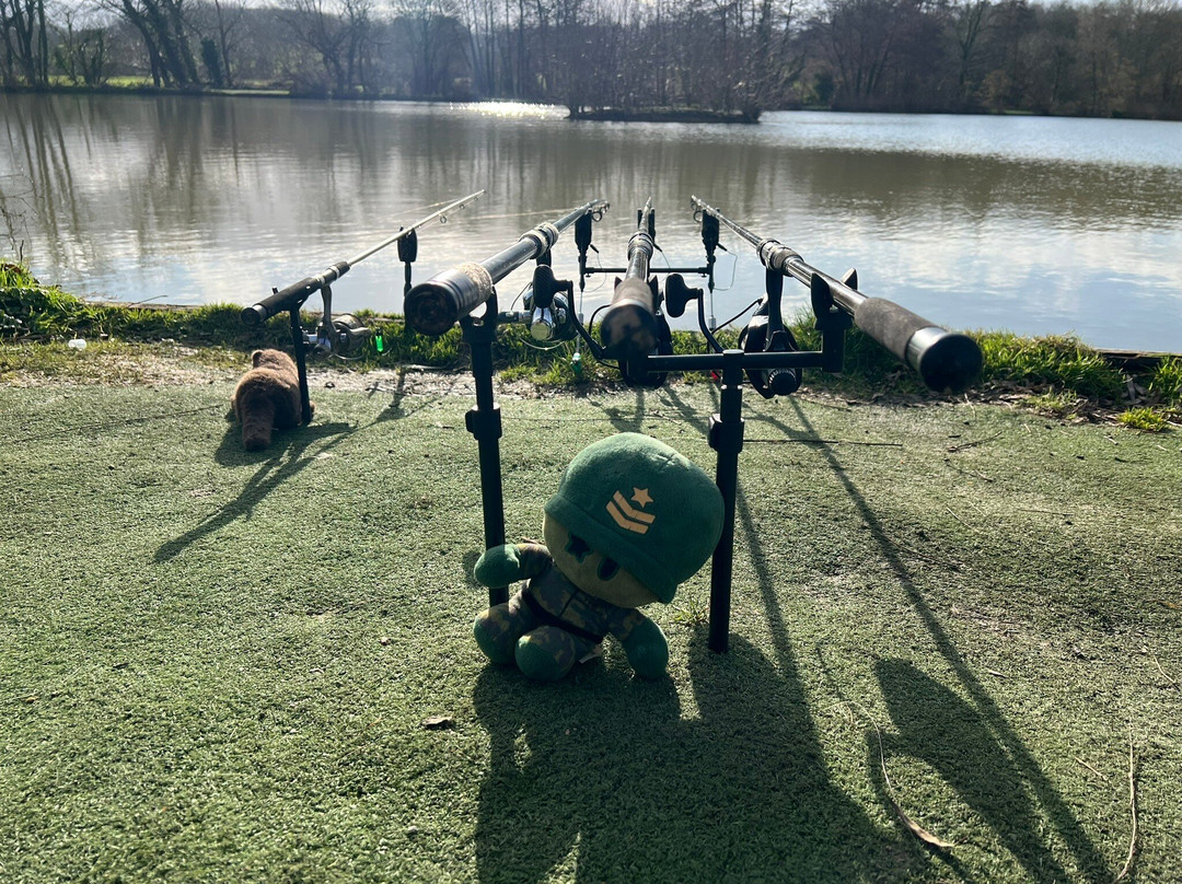Colts Hill Glamping