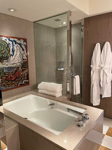 东京柏悦大酒店主图