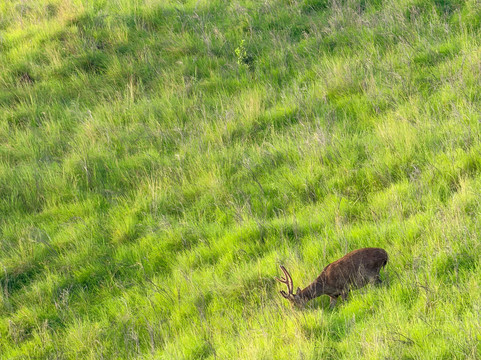 Visit Bajo-Labuan Bajo必去景点