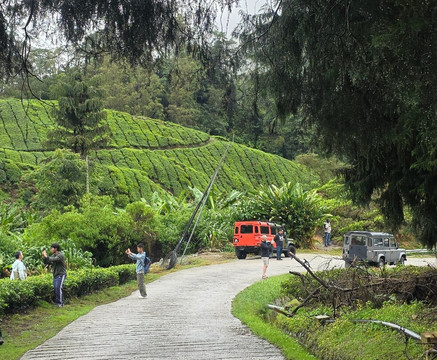 Discover Camerons-丹那拉塔必去景点