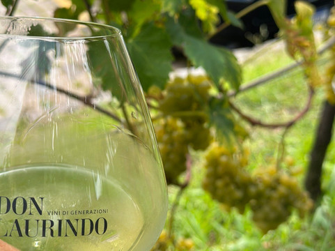 Don Laurindo-本图贡萨尔维斯必去景点