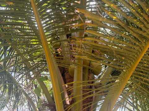 Walkers Reserve-布里奇顿必去景点