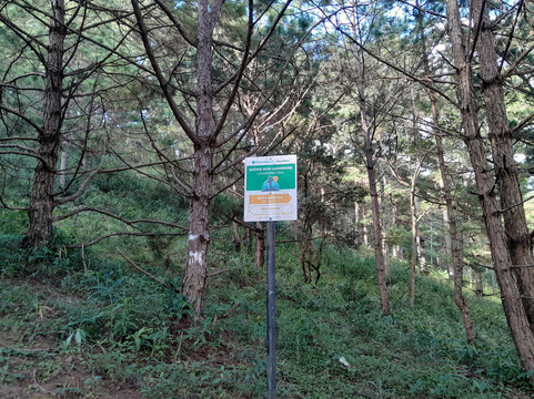 Lang Biang Trail-大勒必去景点