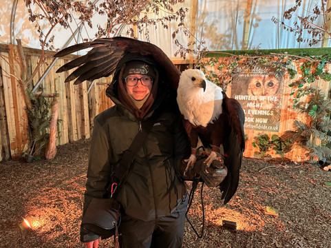 Millets Farm Falconry Centre-弗里福德希斯必去景点