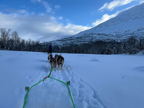Saltenguidene-Rokland必去景点