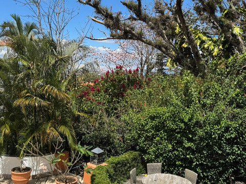 La Luz Restaurant & Bar