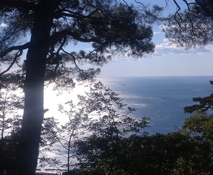 Strada Vicentina-的里雅斯特必去景点