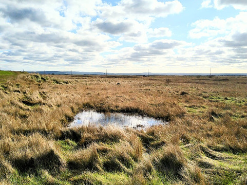 Leysdown Beach-Leysdown-on-Sea必去景点