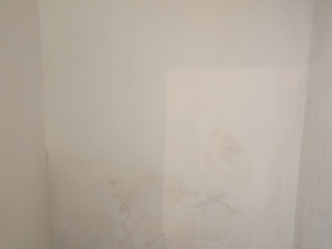 加勒丛林阁楼主图