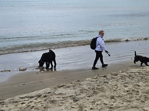 韦茅斯海滩-韦茅斯必去景点