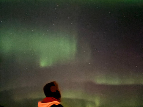 Openlappland-Amsele必去景点