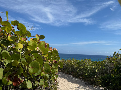 Bahamas Out Island Adventures-Gregory Town必去景点