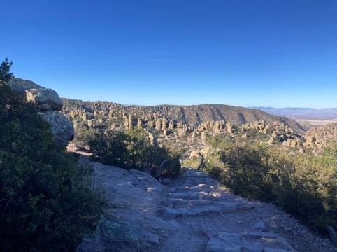 Chiricahua National Monument-Willcox必去景点