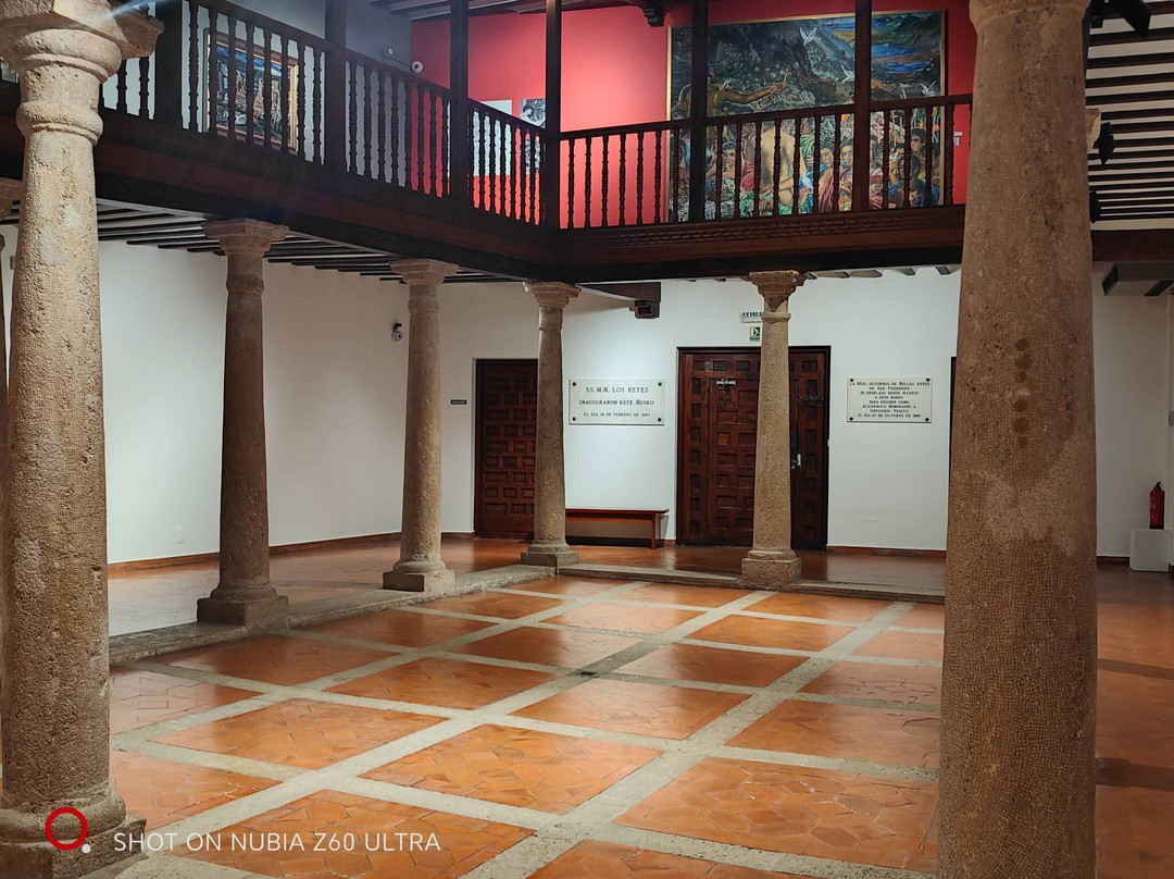Museo de La Fundacion Gregorio Prieto-Valdepenas必去景点