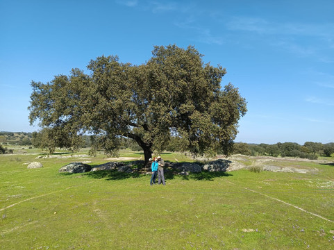 Gastro Dehesa-梅里达必去景点