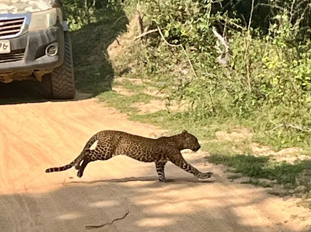 Sri Lanka Chamo Tours-Ambalangoda必去景点