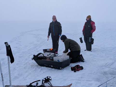 Nallikari Safaris-奥卢必去景点