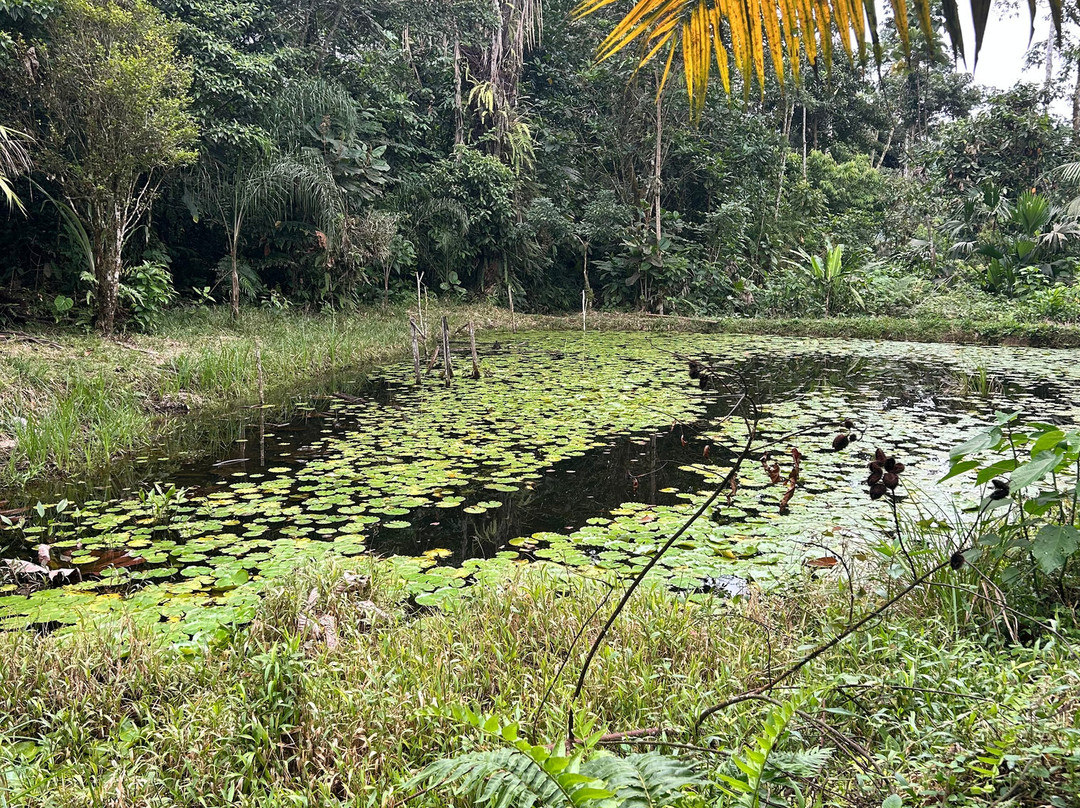 Shuklla Experiences-Archidona必去景点