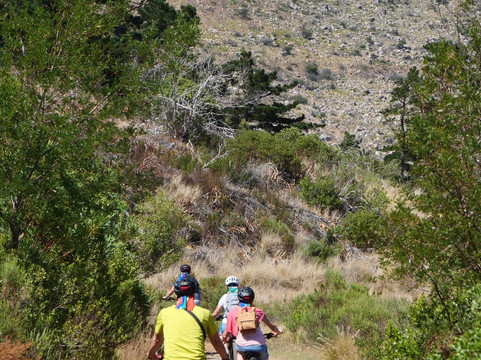 Ebike Cape Town-开普敦中心区必去景点