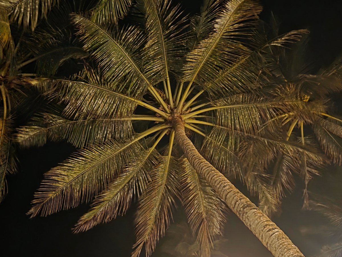 斯里格姆海滩度假村-官方