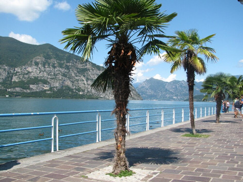 Lungolago di Sarnico-Sarnico必去景点