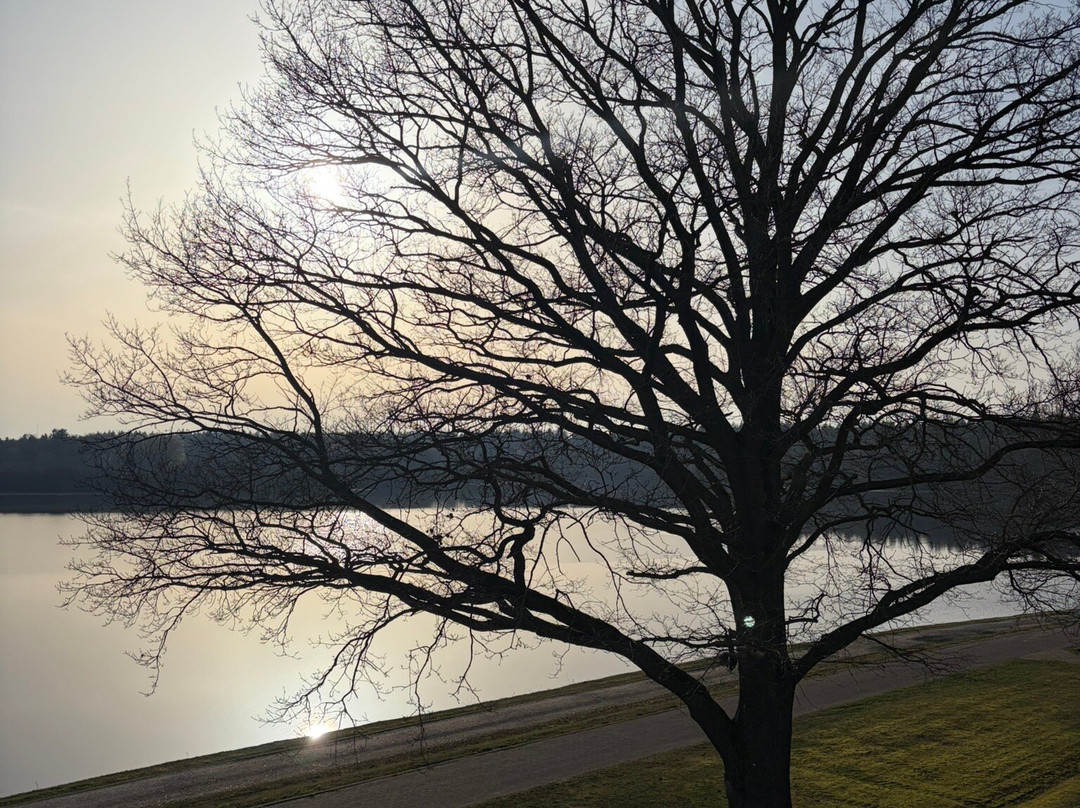 赛布里克酒店主图
