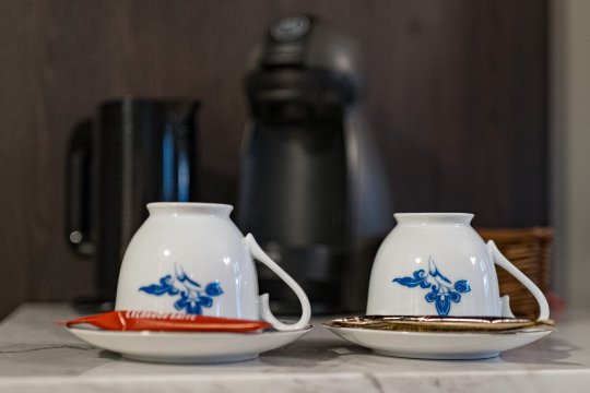 布雷塞斯一号酒店-客卧