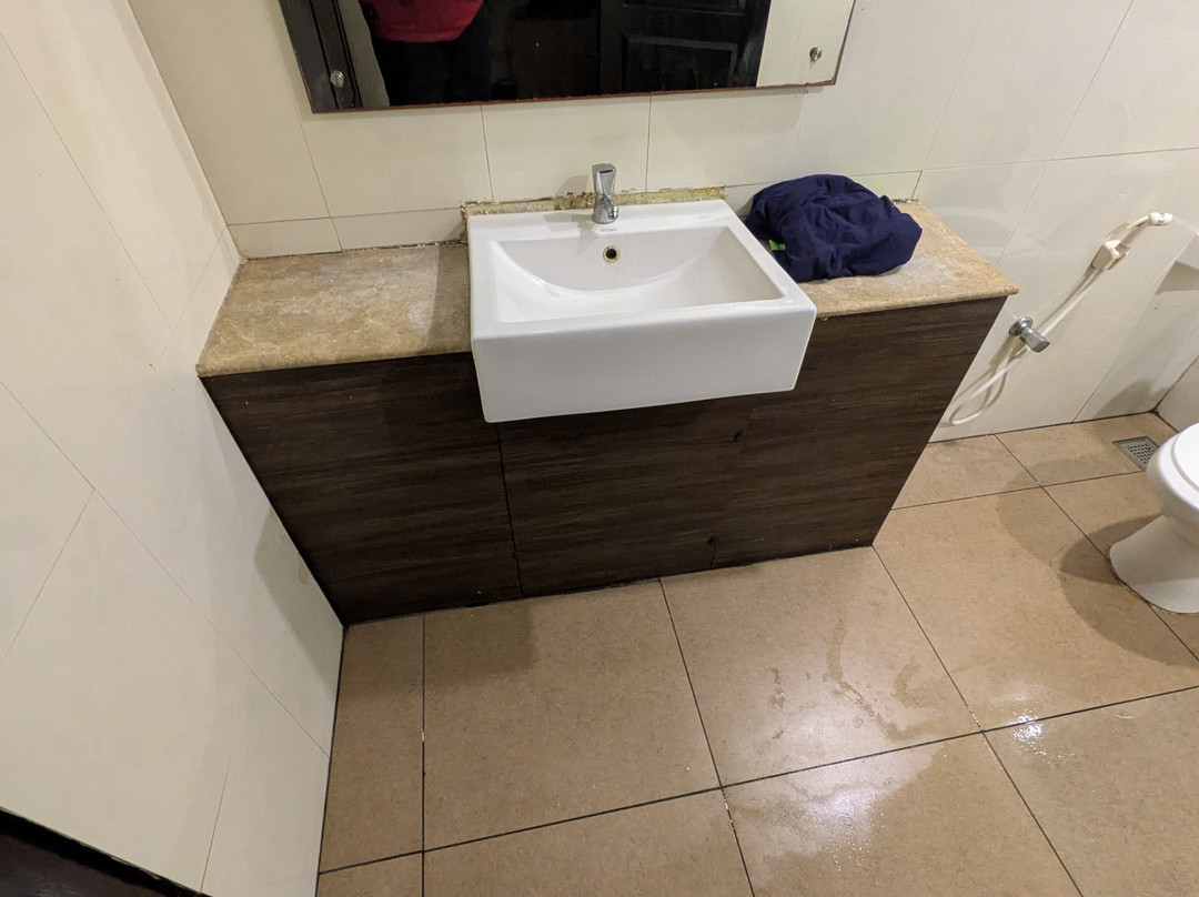 Venezia Cruise - Alleppey Houseboat-阿拉普扎必去景点