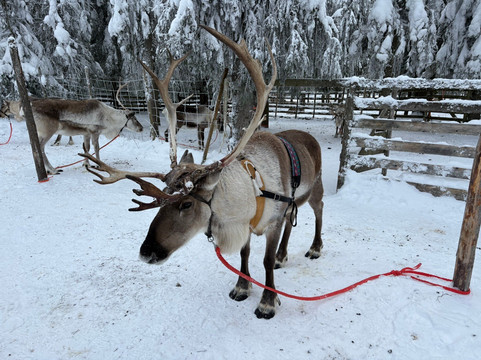 Ruka Adventures-库萨莫必去景点