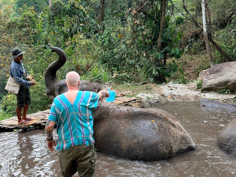 Chiangmai Elephant Sanctuary-清迈必去景点