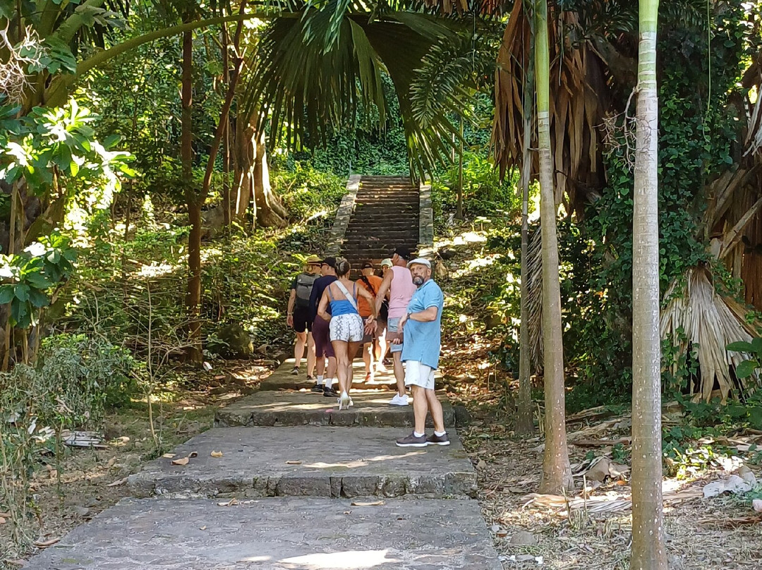 Dominica Botanic Gardens-罗索必去景点