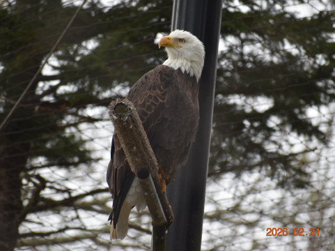 Grandfather Mountain State Park-Banner Elk必去景点