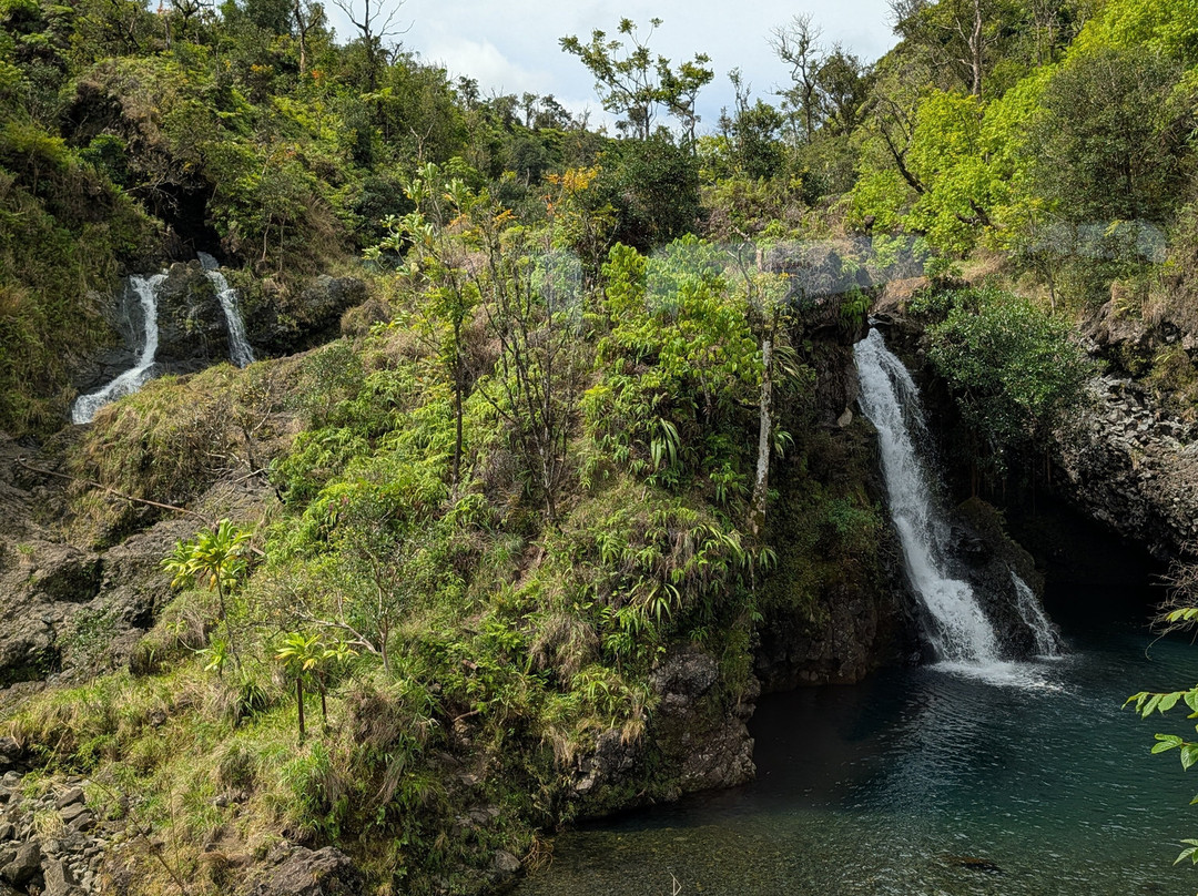 Adventure Maui Road to Hana Tour-哈纳必去景点