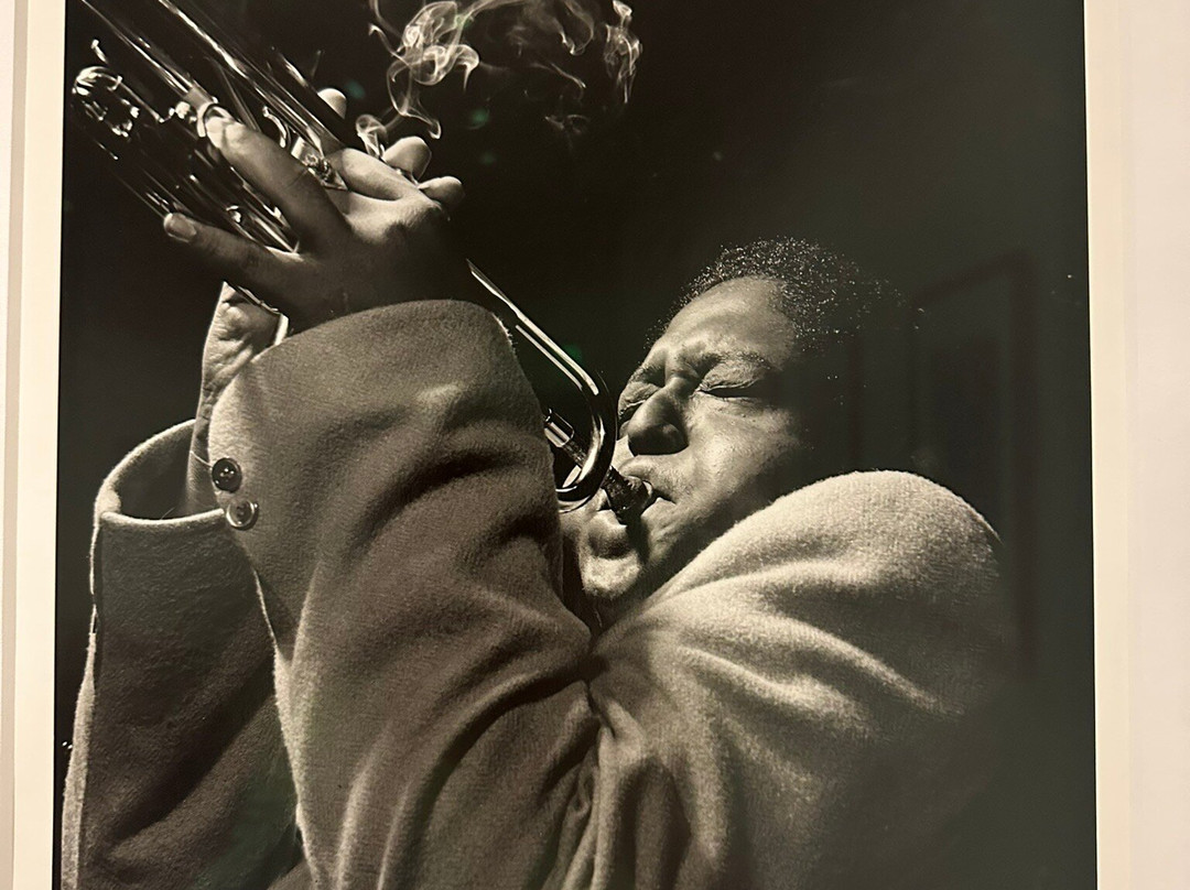 奥格登南方艺术博物馆-新奥尔良必去景点