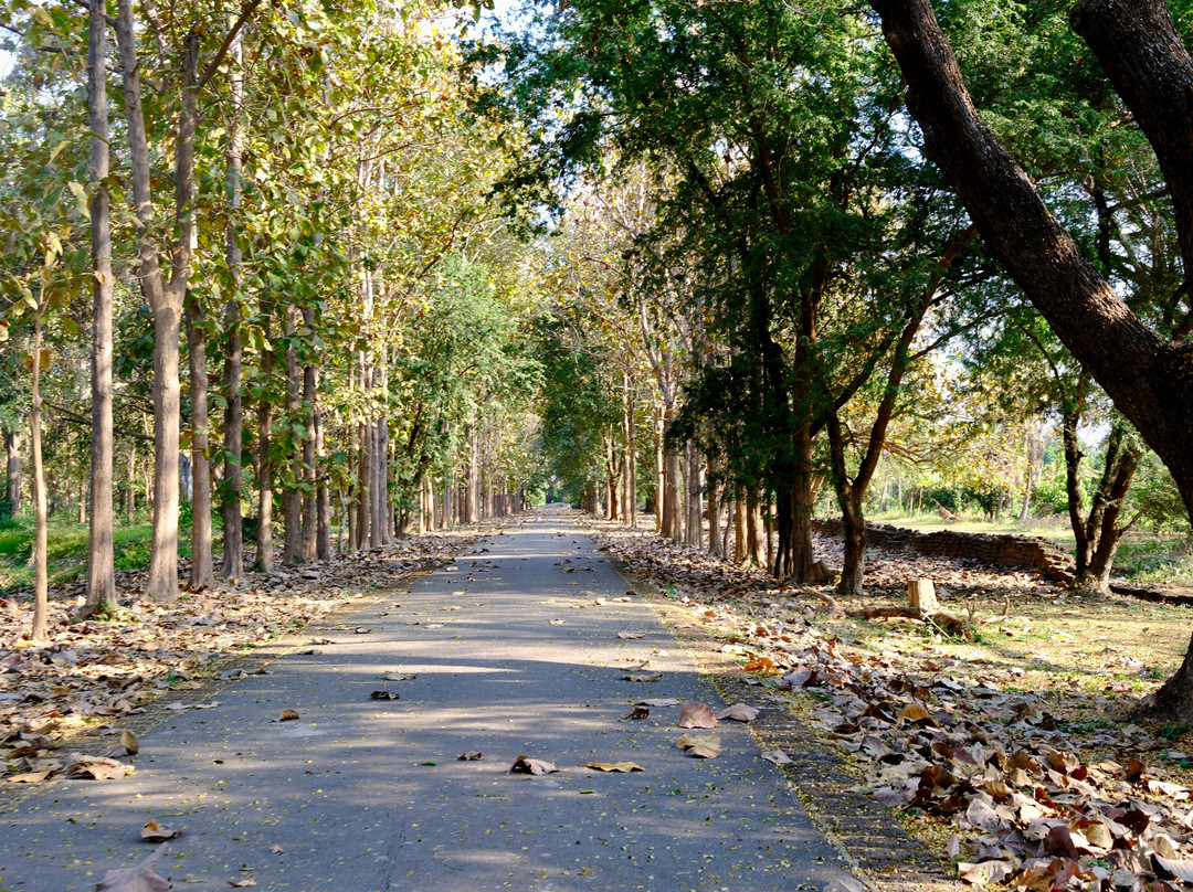 National Park Srisatchanalai-是塞差那莱必去景点