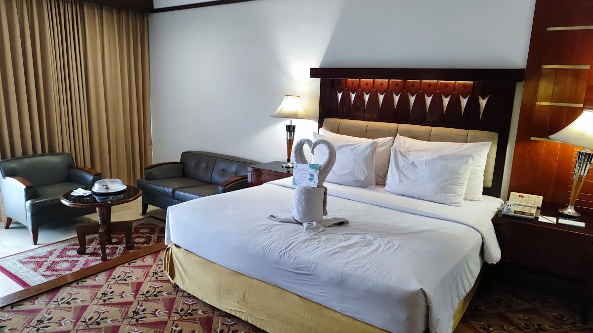 萨沃伊霍曼酒店-客卧