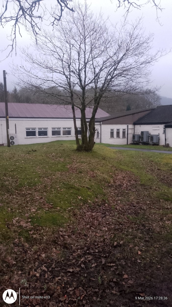 罗布罗伊酒店-官方