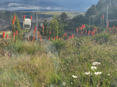 米拉多尔德蒂蒂卡卡主图