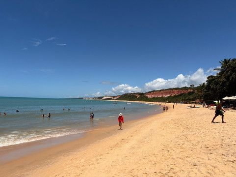 Pitinga Beach-Arraial d'Ajuda必去景点